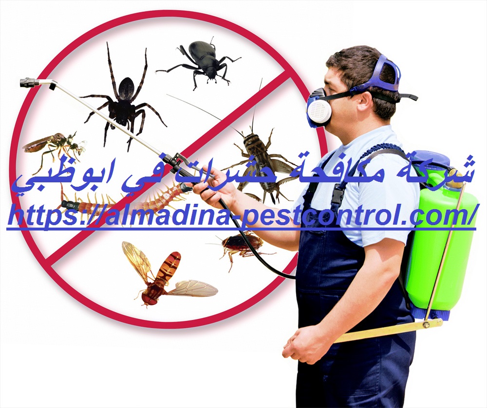 شركة مكافحة حشرات في ابوظبي
