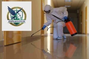 أفضل شركة مكافحة حشرات في الفقع دبي 15% خصم