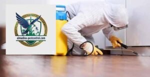 أفضل شركة مكافحة حشرات في الفقع دبي 15% خصم