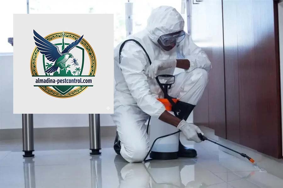 أفضل شركة مكافحة حشرات في الليسيلي 10%خصم خاص