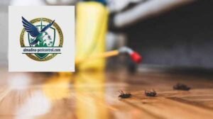 شركة مكافحة حشرات في لهباب 100% ضمان شامل