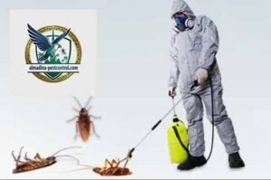 شركة مكافحة حشرات في لهباب 100% ضمان شامل